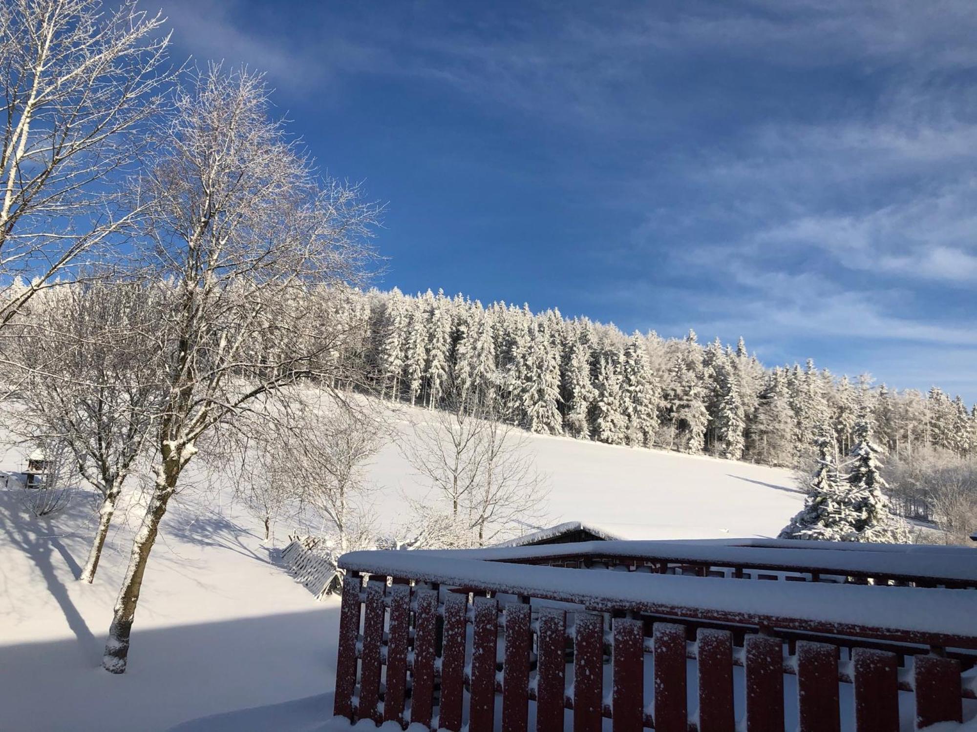 Hotel Berghaus Winterberg Esterno foto